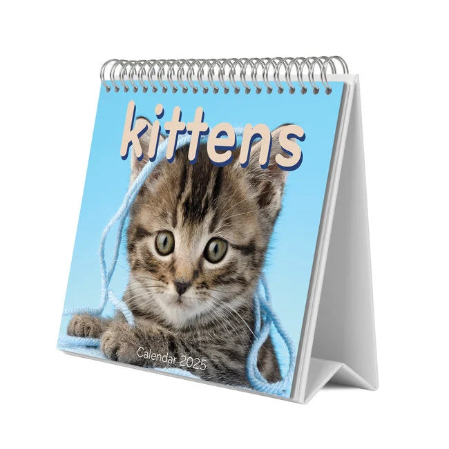 Cats Simon K. & Greg C. Desk Calendar 2025 | Bookazine HK