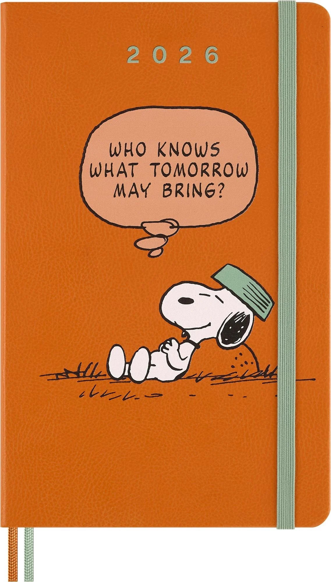 12M Peanuts Weekly Notebook Large | Bookazine HK

