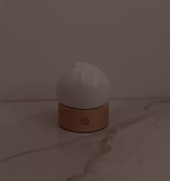 Dumpling Night Lights | Bookazine HK