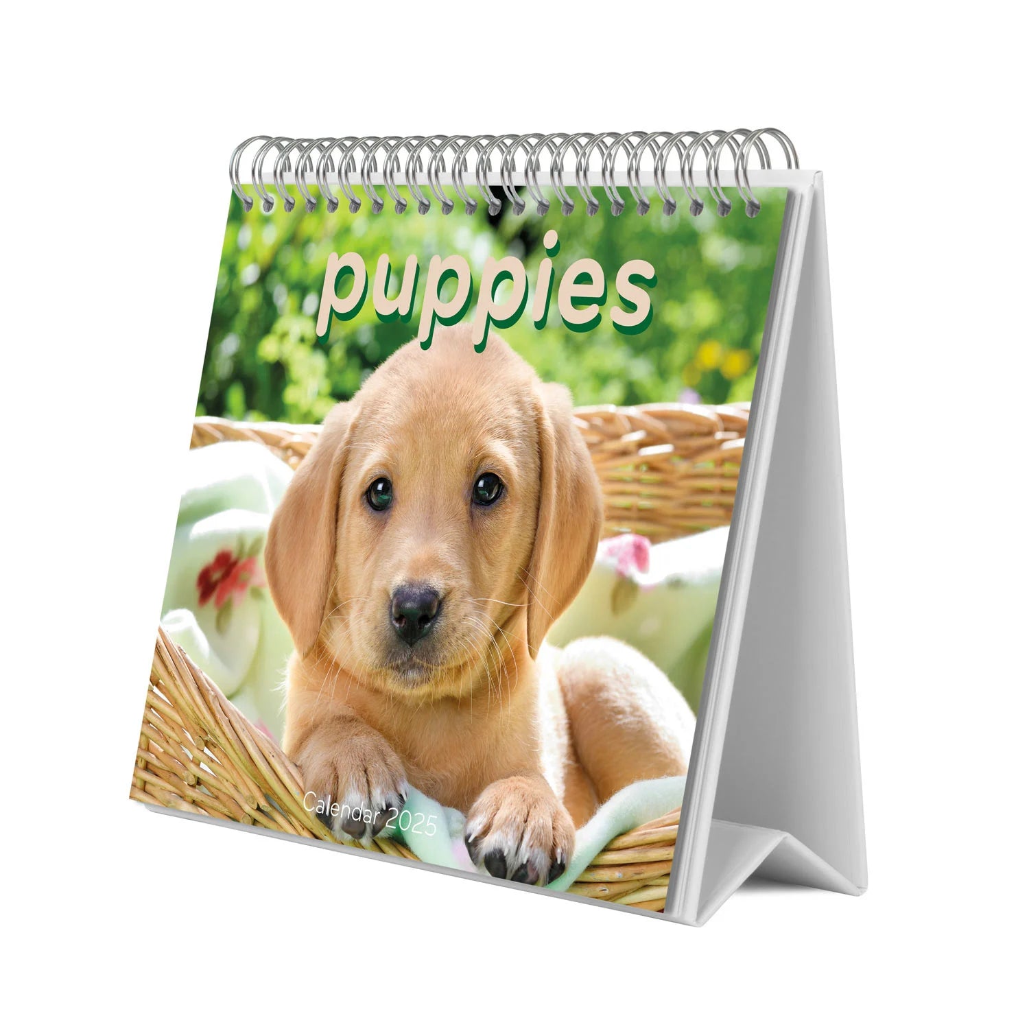 Puppies Desk Calendar 2025 | Bookazine HK