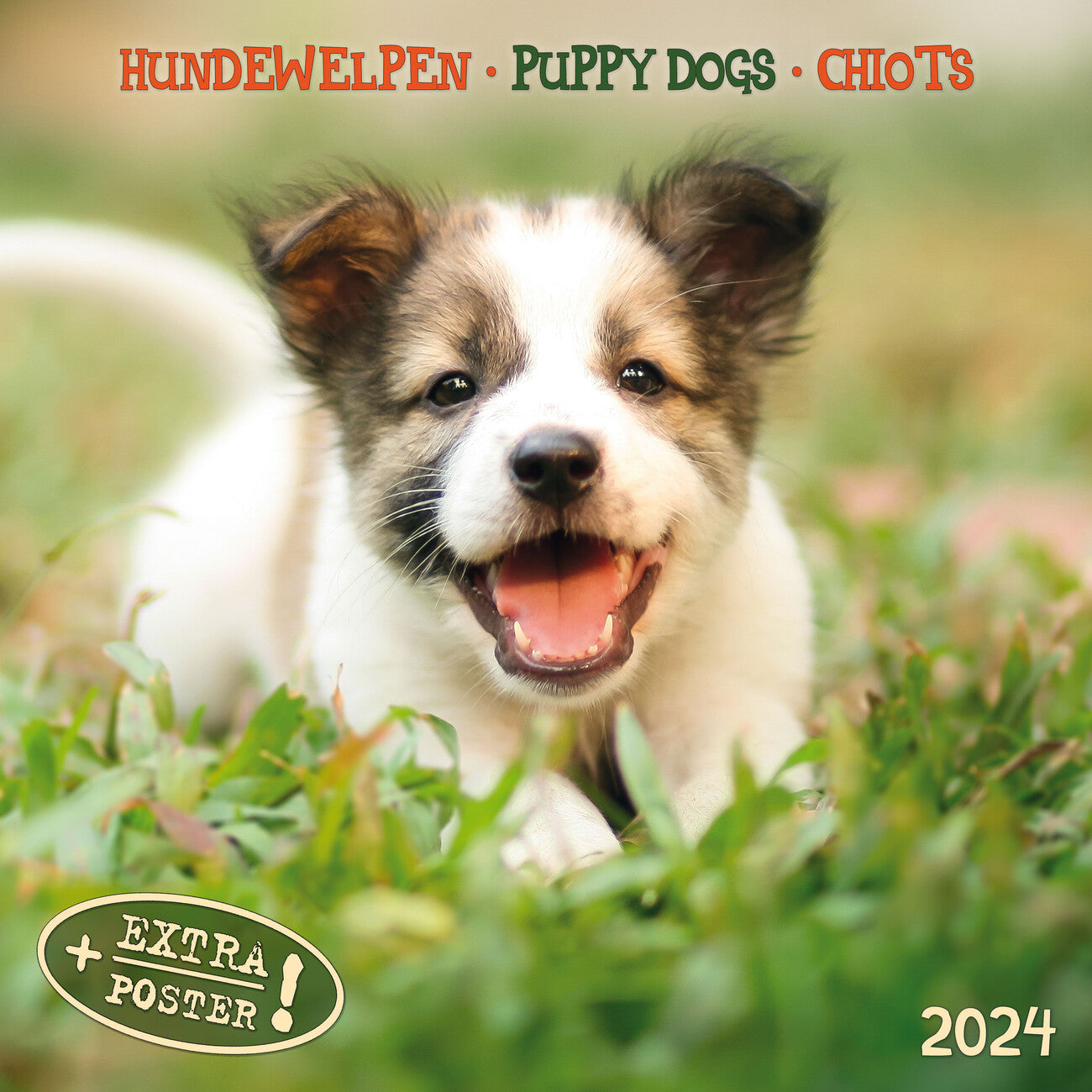puppy-dogs-2024-wall-calendar