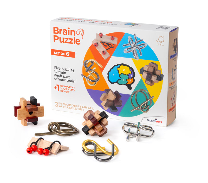 Brain Puzzle Set of 6 | Bookazine HK