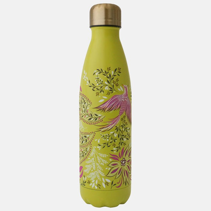 lime-bird-of-paradise-stainless-steel-drink-bottle