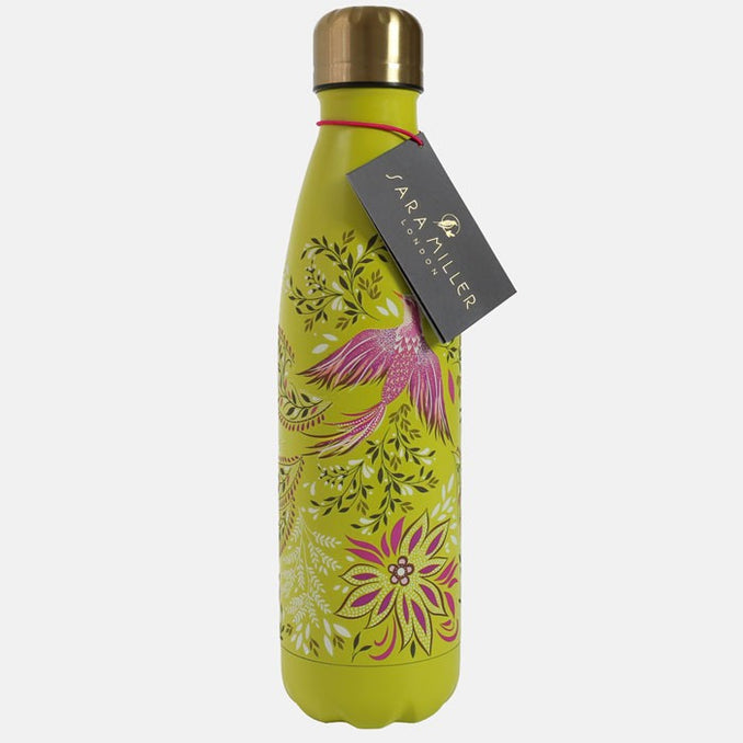 lime-bird-of-paradise-stainless-steel-drink-bottle