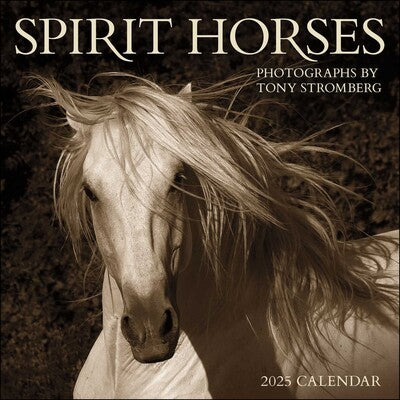 Spirit Horses Wall Calendar | Bookazine HK