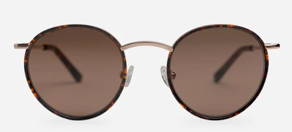 Jack - Mocha Sunglasses Medium | Bookazine HK