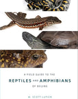 A Field Guide To The Reptiles And Amphibians Of Beijing | Bookazine HK