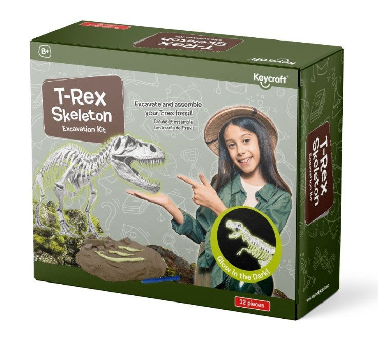 Glow In The Dark T-Rex Skeleton Excavation Kit | Bookazine HK