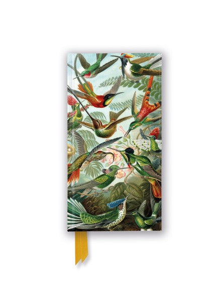 Ernst Haeckel: Hummingbirds Foiled Slimline Journal | Bookazine HK