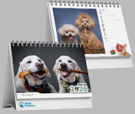Dog Weekly Wall Calendar 2026 | Bookazine HK