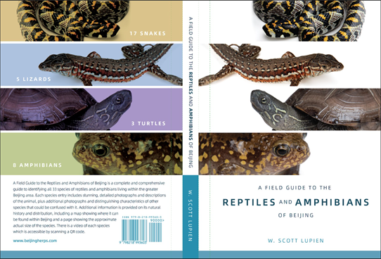 A Field Guide To The Reptiles And Amphibians Of Beijing | Bookazine HK