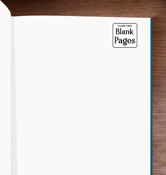 Vincent Van Gogh Sunflowers Blank Sketch Book  | Bookazine HK