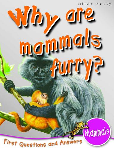 1st Questions and Answers Mammals: Why are Mammals Furry?