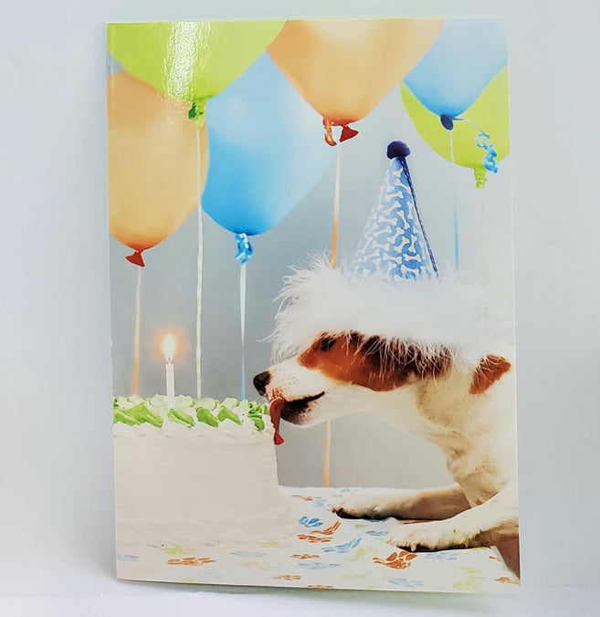 designdesign-Have Your Cake Birthday Card-bookazine