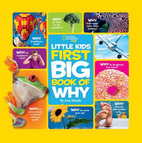 Little Kids First Big Book of Why (First Big Book)