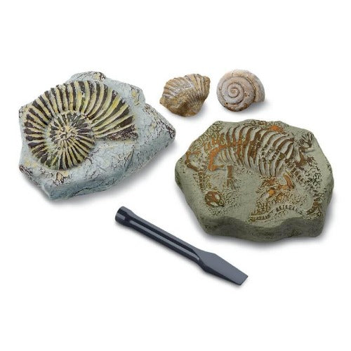 toy-excavation-kit-mini-fossil