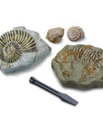 toy-excavation-kit-mini-fossil