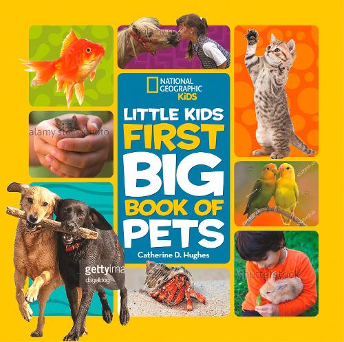 Little Kids First Big Book of Pets (First Big Book)