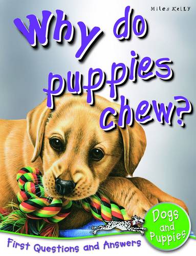 Why Do Puppies Chew?: First Questions and Answers Dogs &amp; Puppies