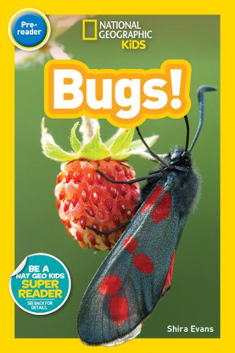 National Geographic Kids Readers: Bugs (Readers)