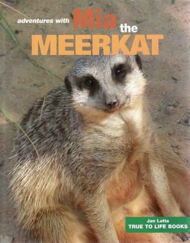 Mia The Meerkat