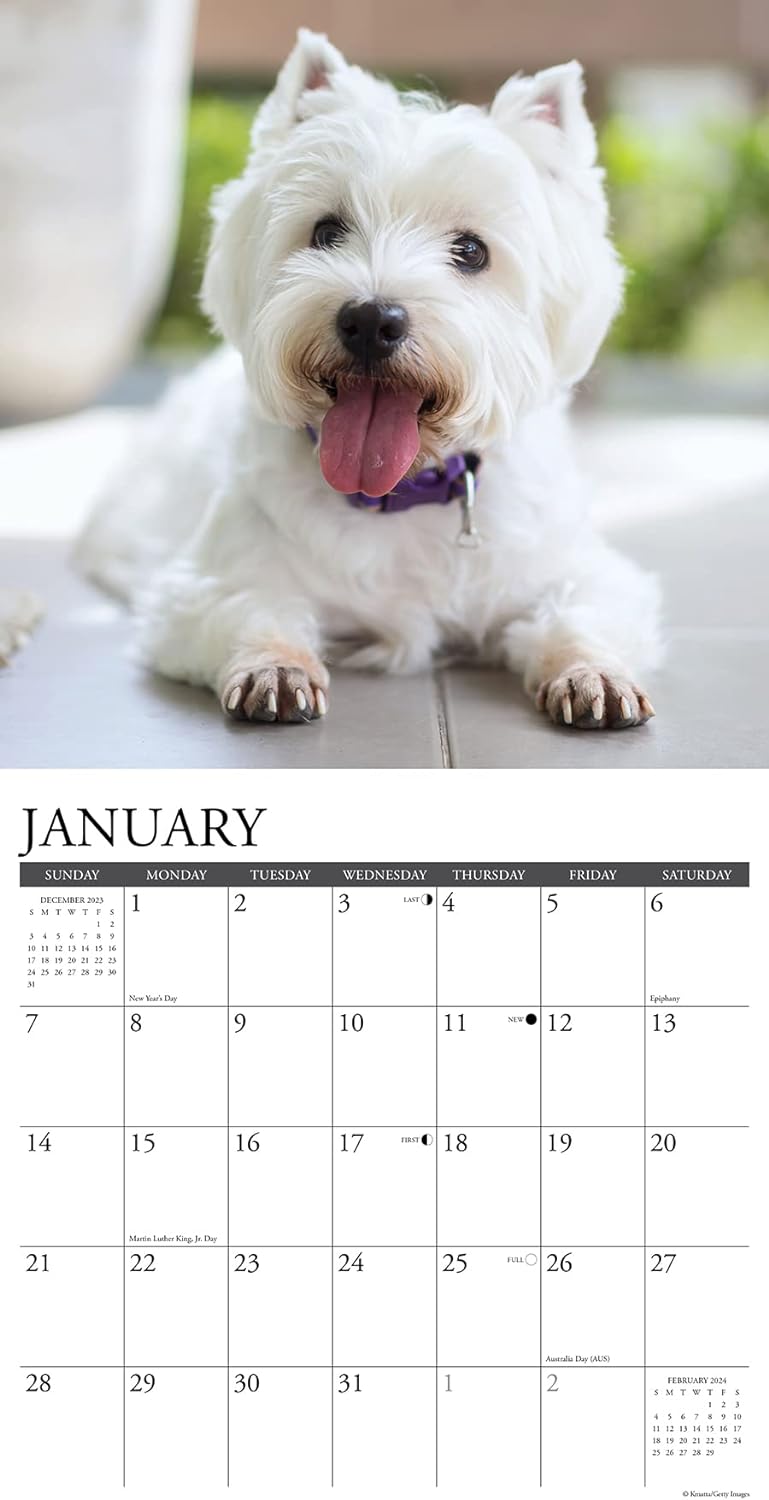 westies-monthly-2024-wall-calendar