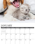 kittens-puppies-monthly-2024-wall-calendar