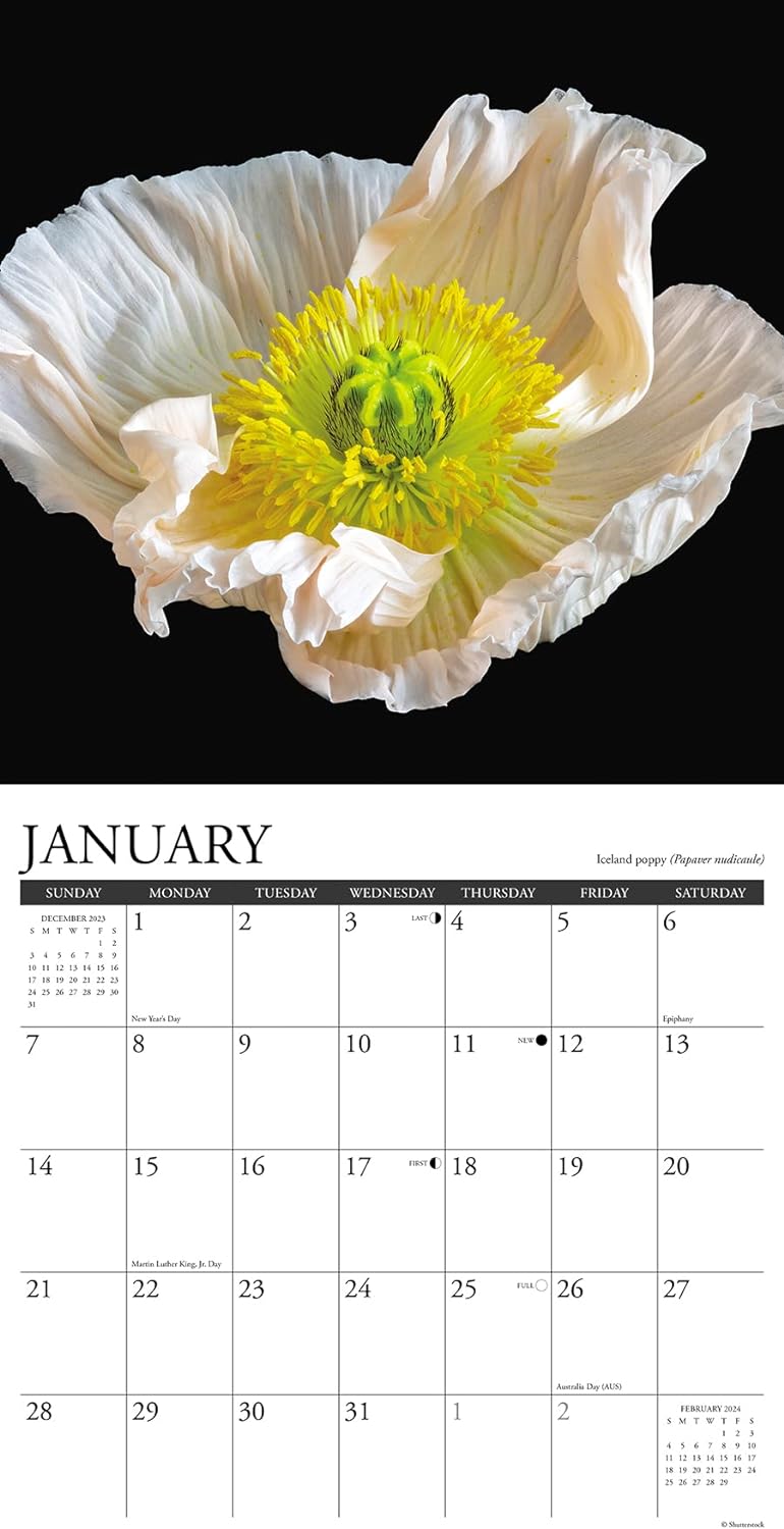flowers-monthly-2024-wall-calendar