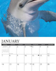 dolphins-2024-calendar