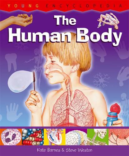 Human Body: Young Encyclopedia