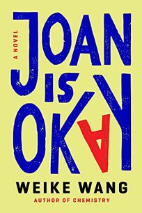 Joan Is Okay : A Novel