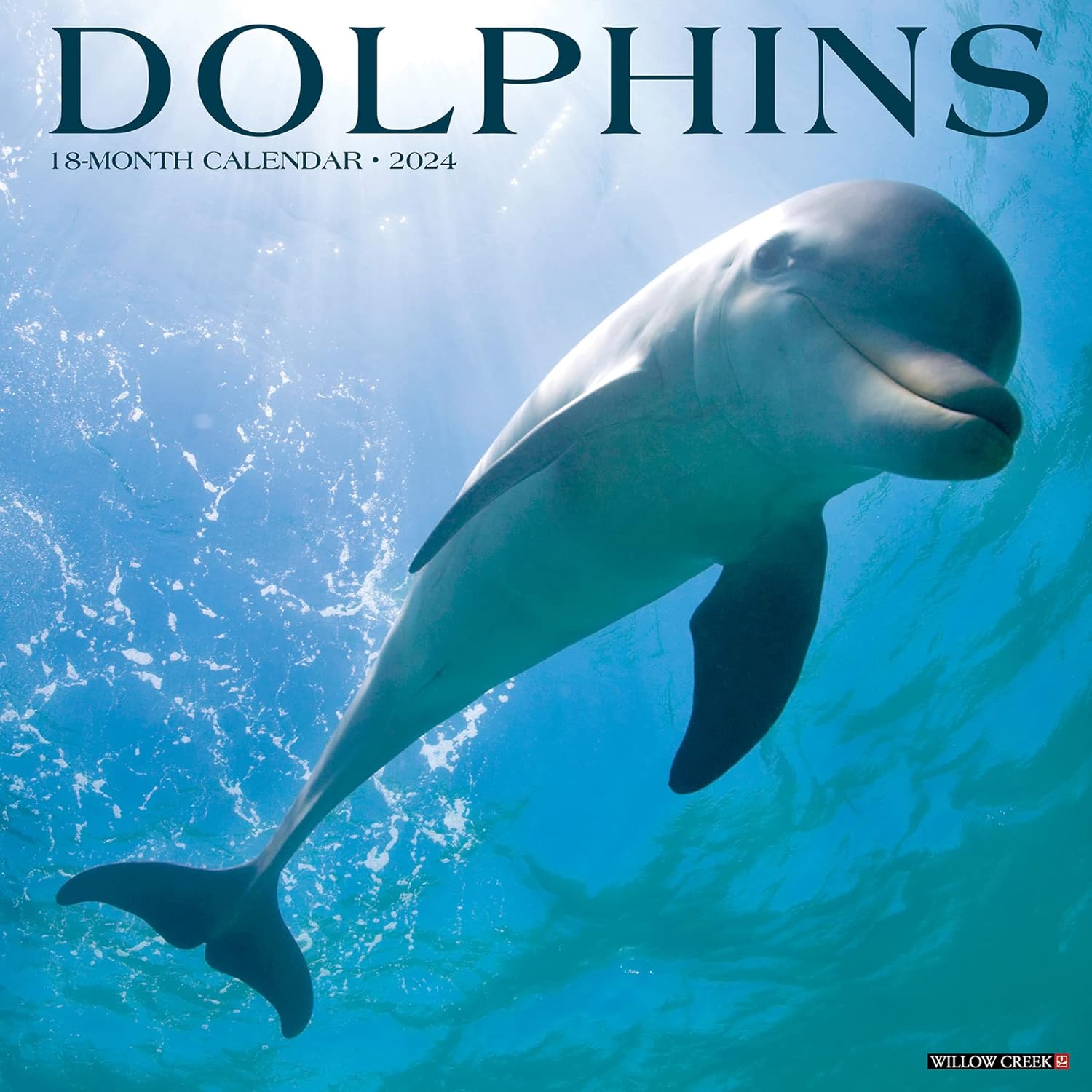 Dolphins 2025 Calendar Bookazine HK