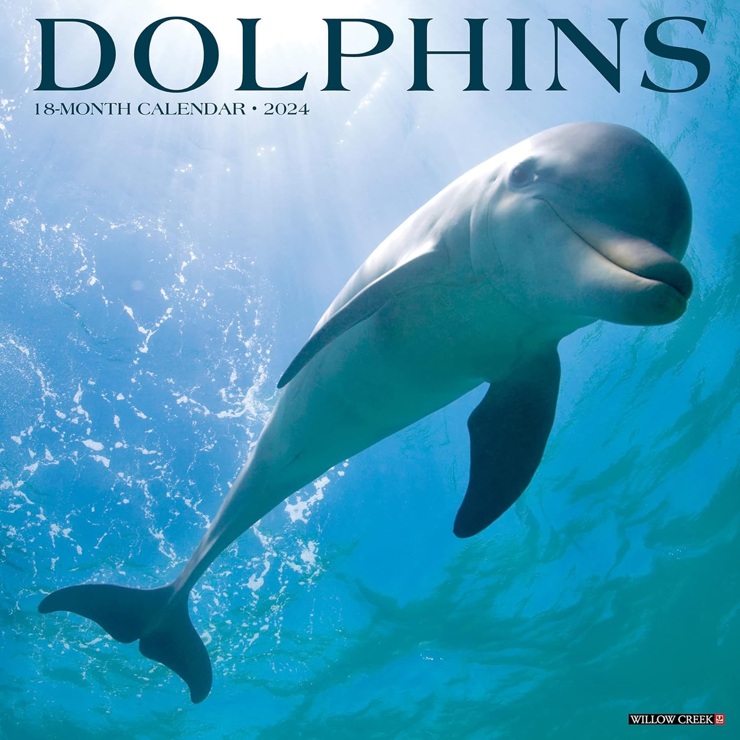 dolphins-2024-calendar