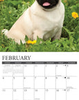 pugs-monthly-2024-wall-calendar