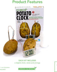 Potato Clock Science Kit | Bookazine HK