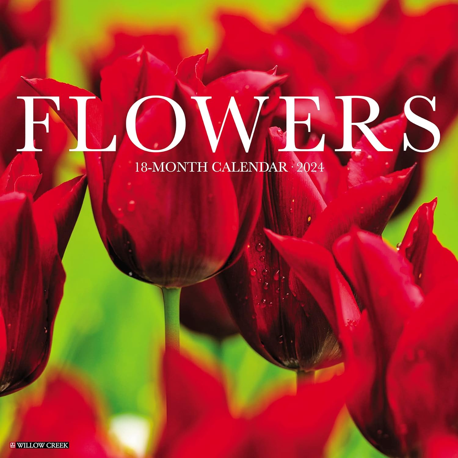 flowers-monthly-2024-wall-calendar