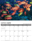 tropical-fish-monthly-2024-wall-calendar