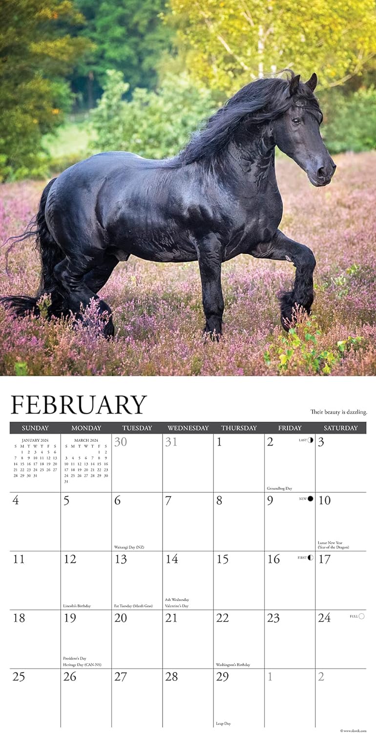 happiness-is-a-horse-monthly-2024-wall-calendar
