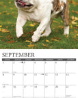 bulldogs-monthly-2024-wall-calendar