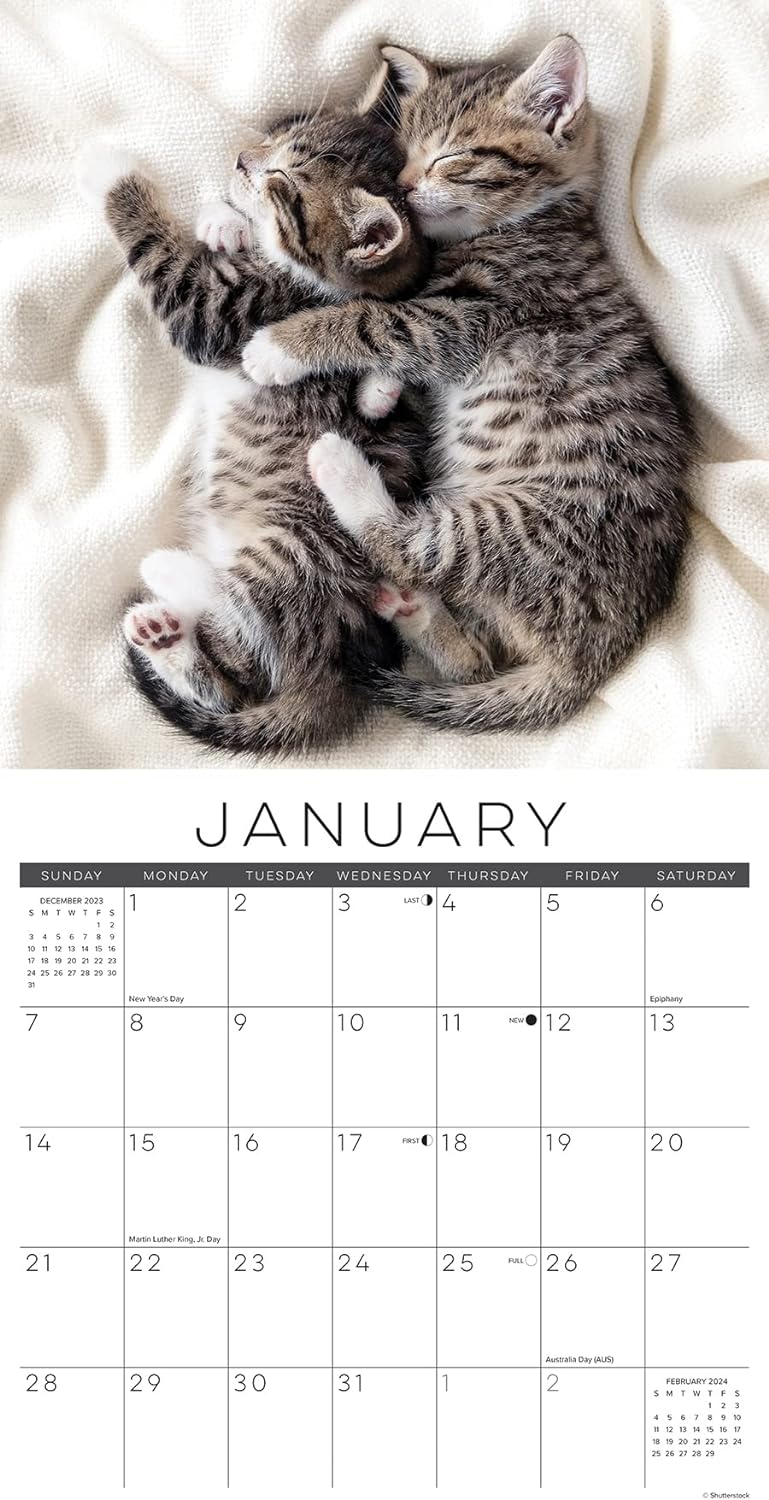 naptime-cats-monthly-2024-wall-calendar