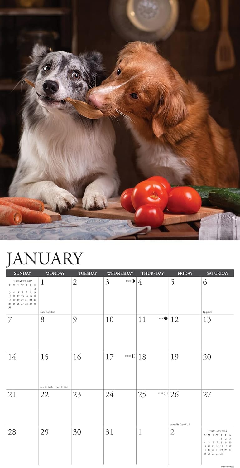 pet-pals-monthly-2024-wall-calendar