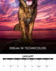 dogs-life-2024-calendar