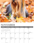 yorkies-monthly-2024-wall-calendar