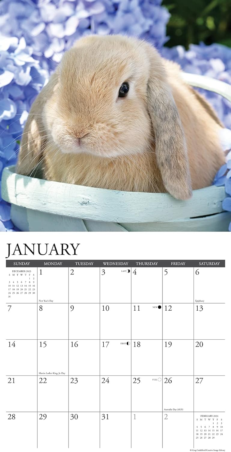 bunnies-monthly-2024-wall-calendar