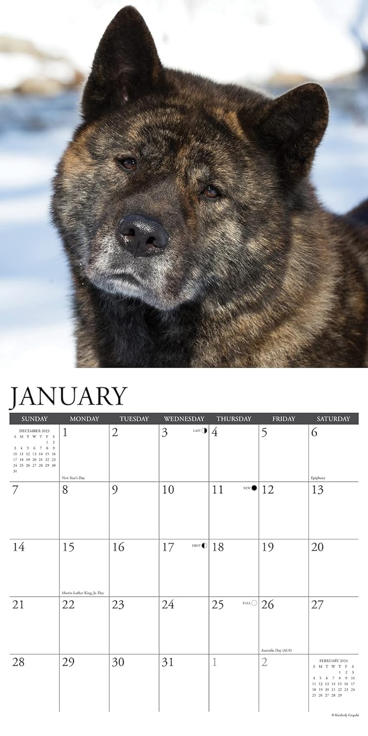 akitas-monthly-2024-wall-calendar