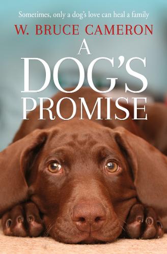 A Dog&#39;s Promise