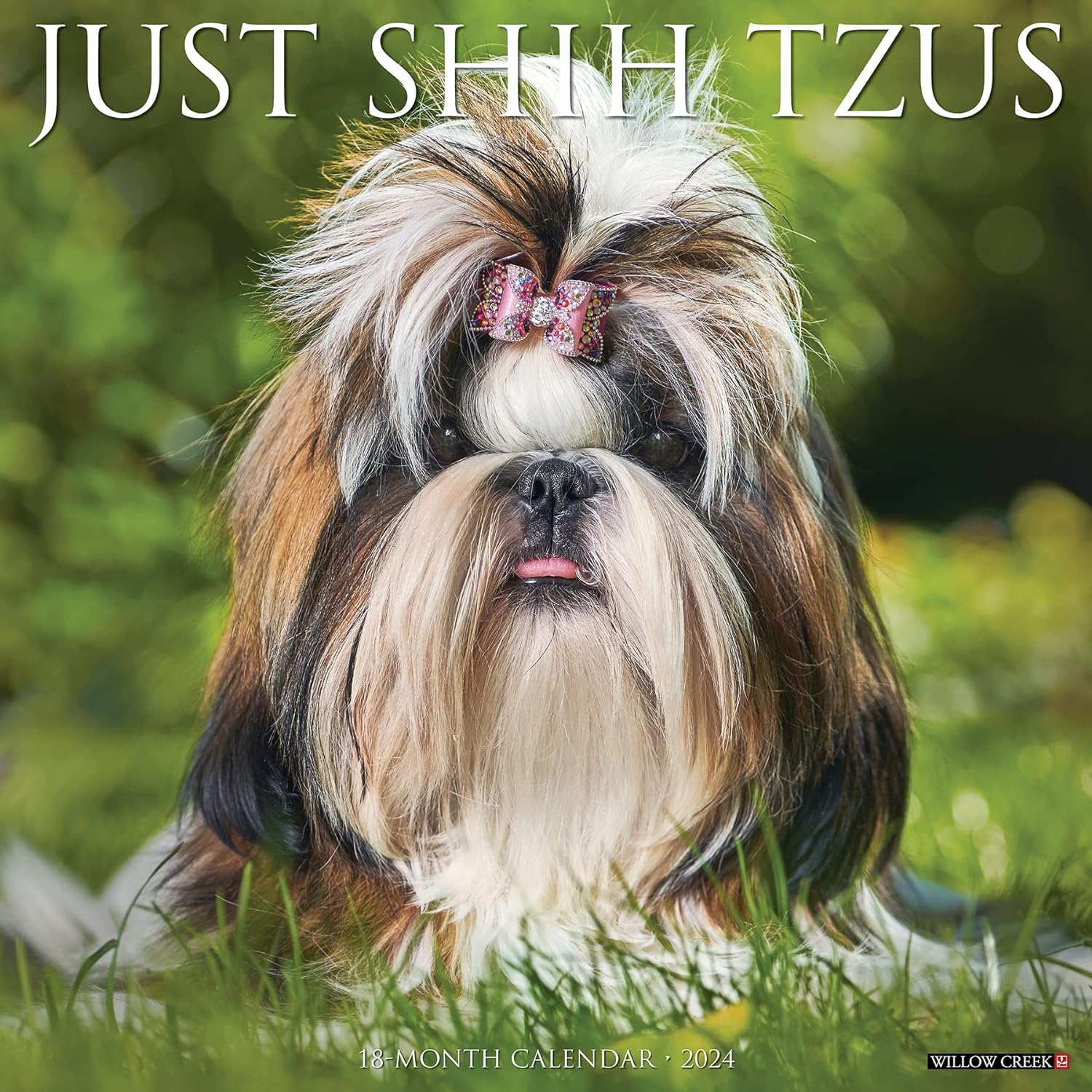 Shih Tzus Monthly 2024 Wall Calendar Bookazine HK   81 FO9k2QHL. AC SL1500 