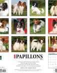 papillons-monthly-2024-wall-calendar