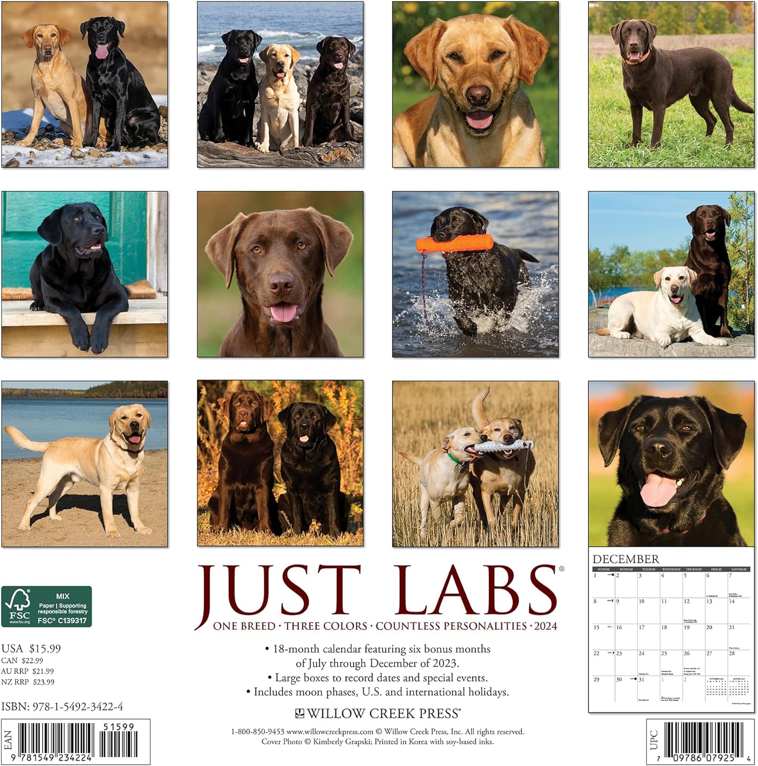 labs-monthly-2024-wall-calendar