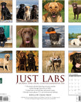 labs-monthly-2024-wall-calendar